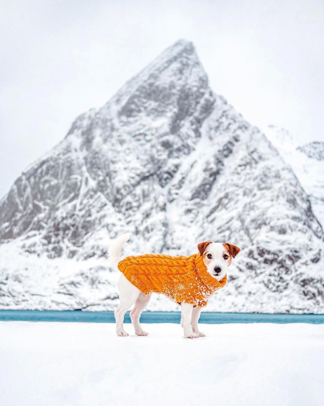 Accidentally Wes Anderson - Mount Olstind