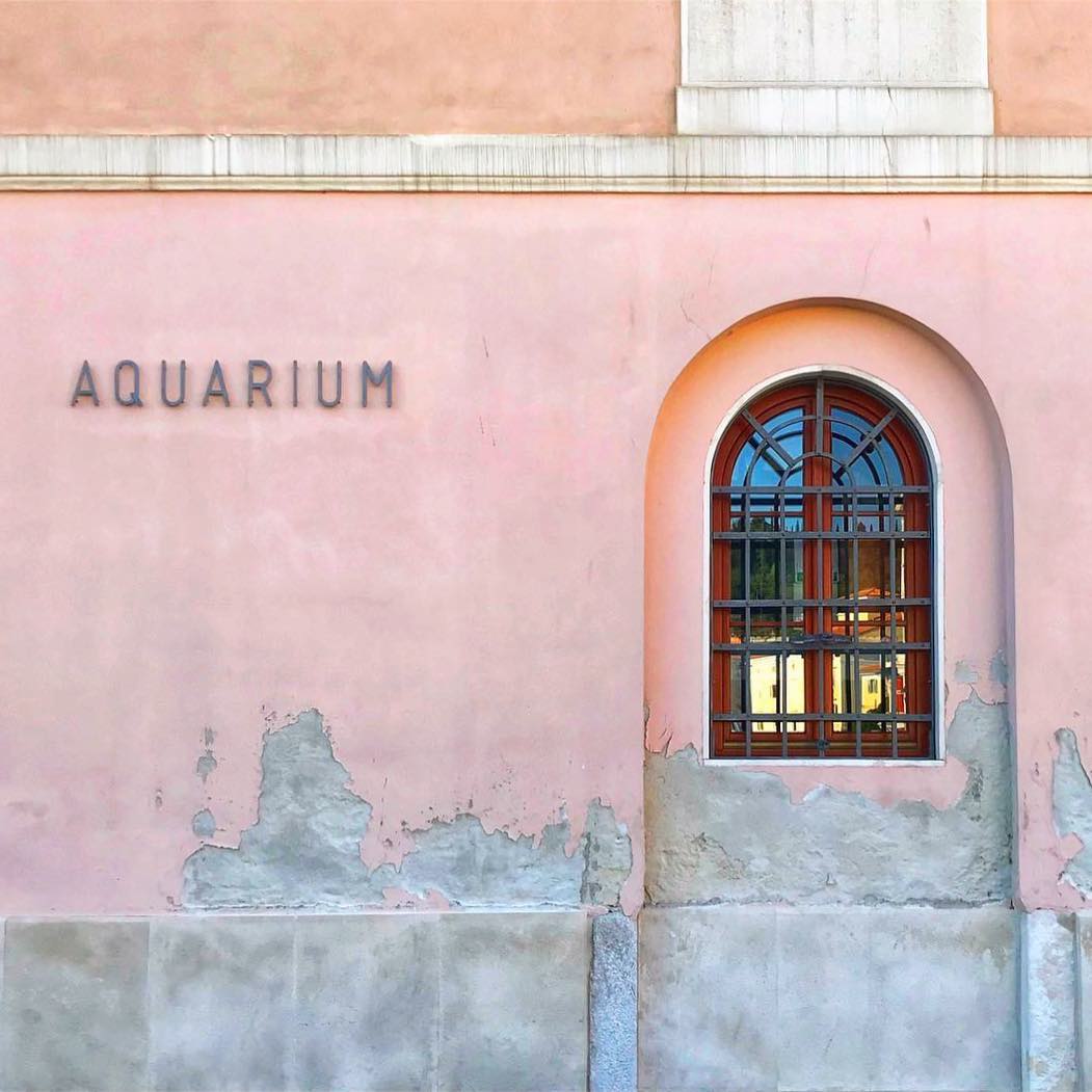 Accidentally Wes Anderson - Piran Aquarium