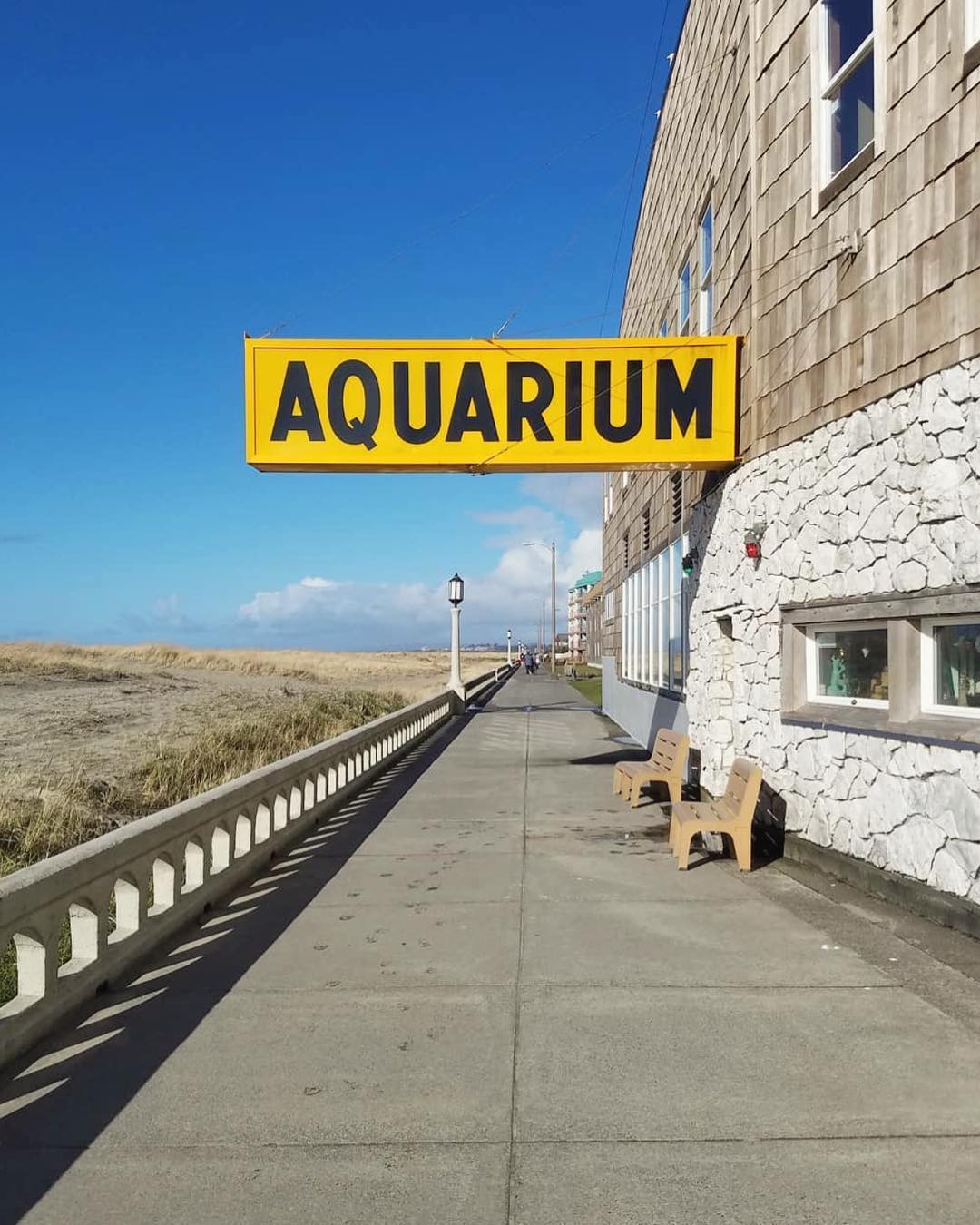 Accidentally Wes Anderson - Seaside Aquarium