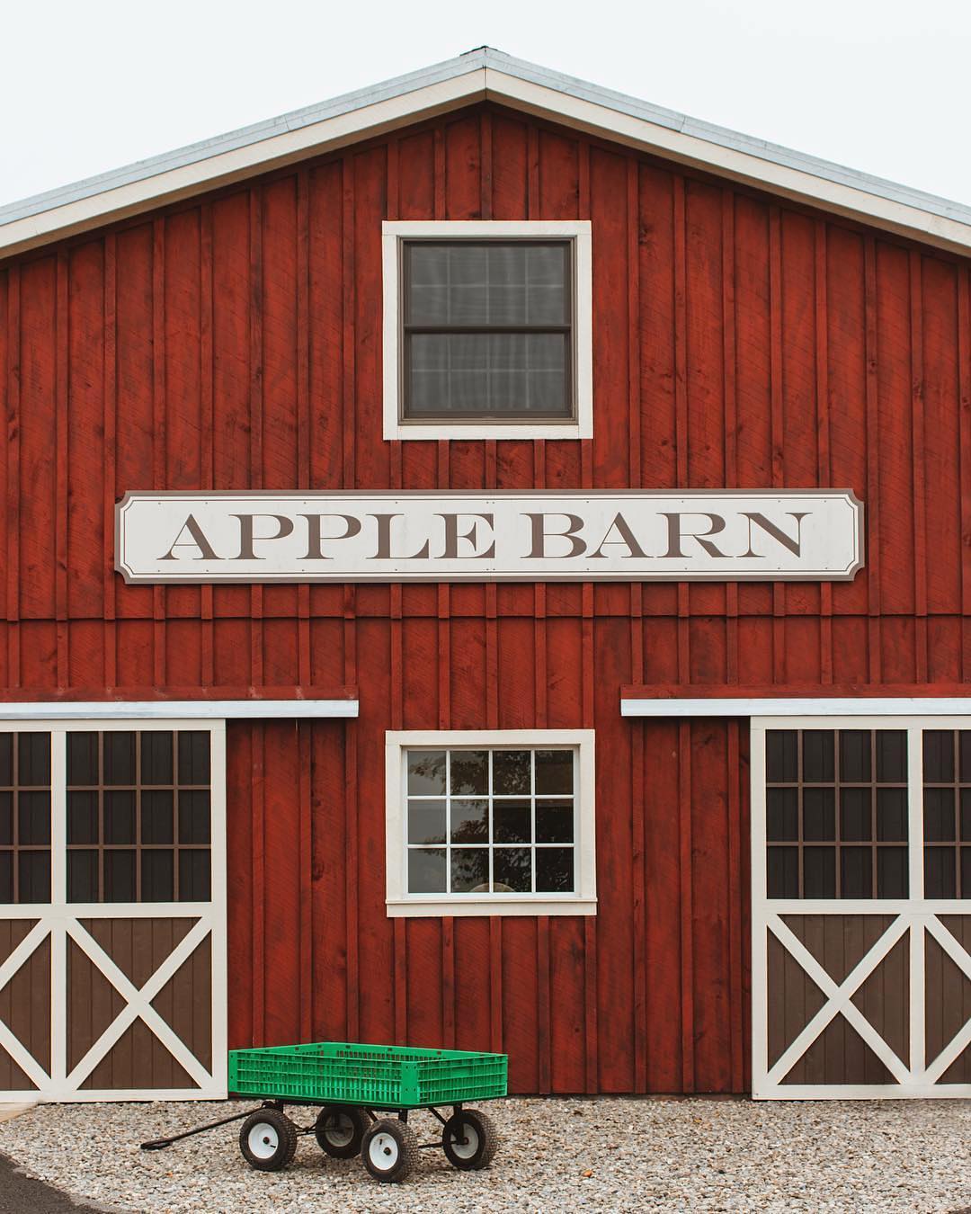 Accidentally Wes Anderson - Beak & Skiff Apple Farm