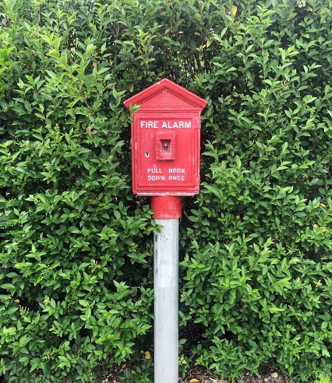 Accidentally Wes Anderson - Fire Alarm Box