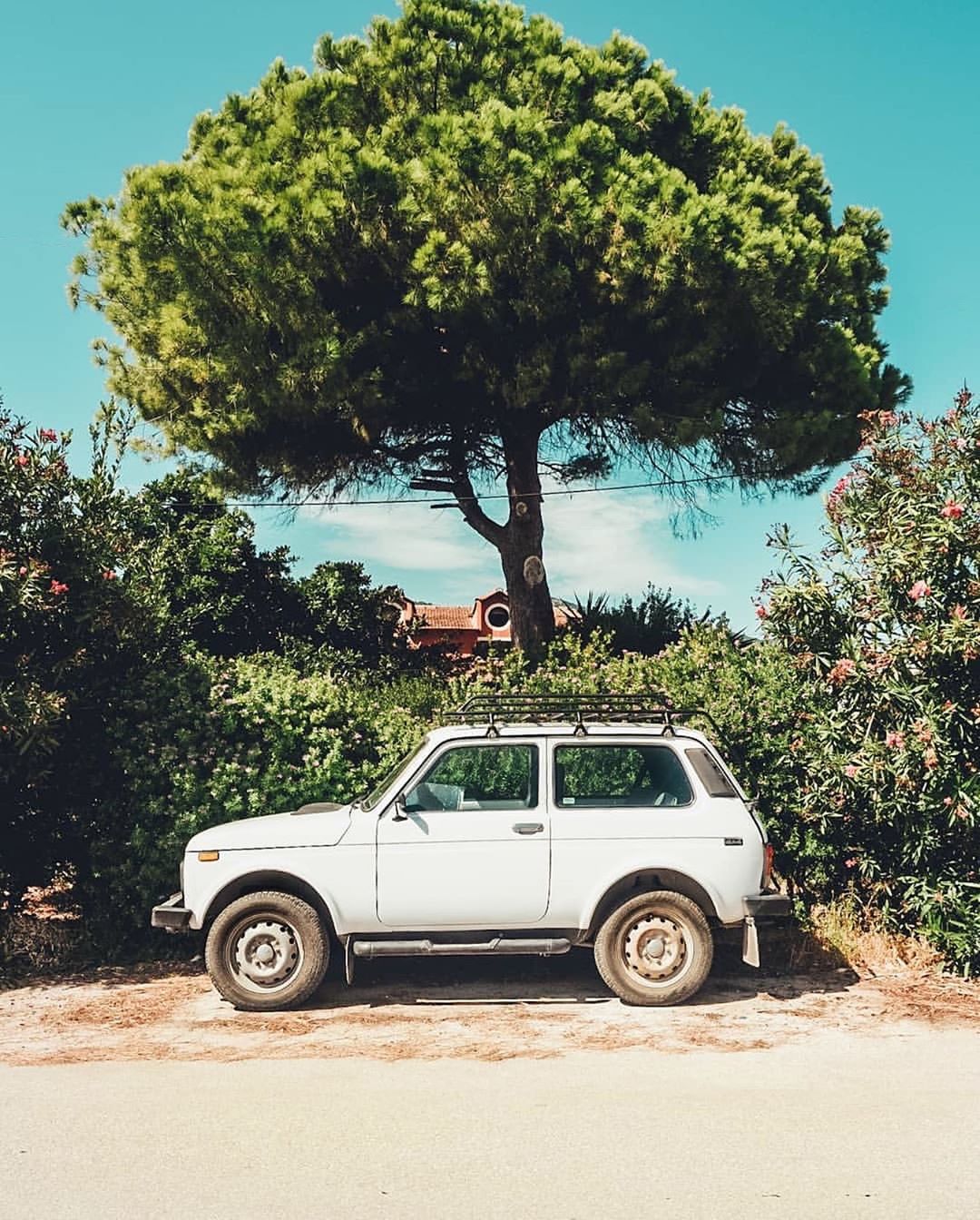 Accidentally Wes Anderson - Lada Niva