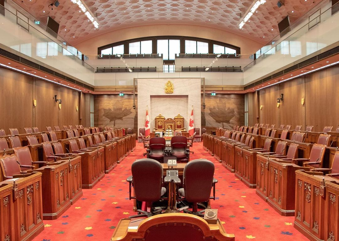 Accidentally Wes Anderson - Senate of Canada